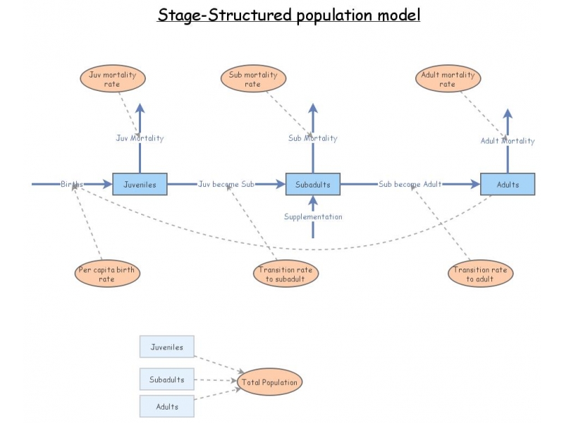 Stage Structure pop | Insight Maker