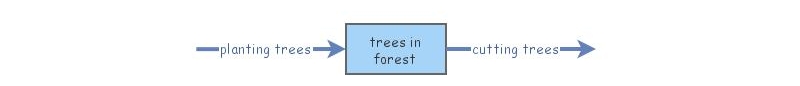 forest inventory Insight | Insight Maker