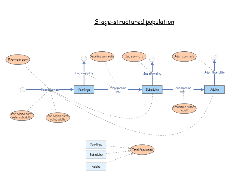 Clone of Stage-structured population | Insight Maker