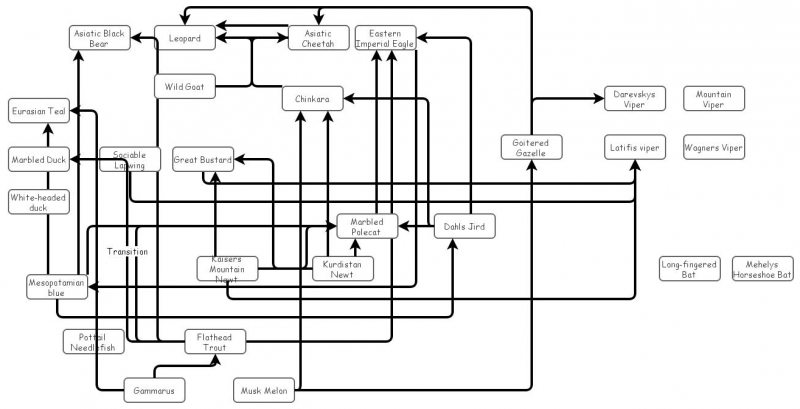 Food Web | Insight Maker