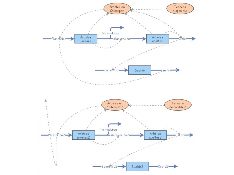 MI MADRE Y YO | Insight Maker