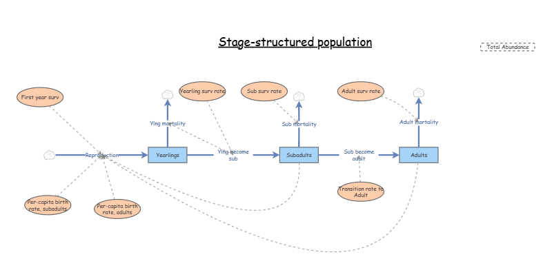 Clone of Stage-structured population | Insight Maker