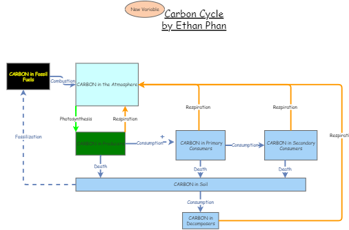 Carbon stock and flow | Insight Maker