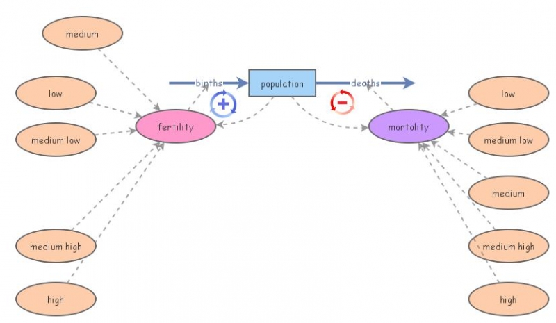 Sample population growth model | Insight Maker
