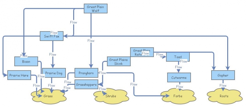 Food Web | Insight Maker