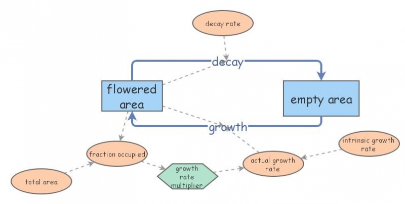 flower model | Insight Maker