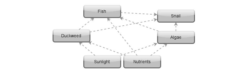 Aquatic Food Web | Insight Maker