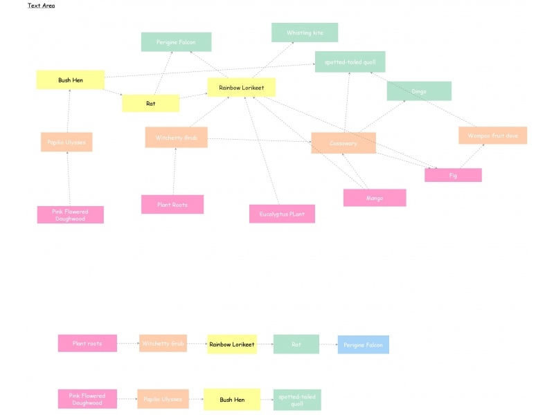 Food Web Daintree Rainforest | Insight Maker