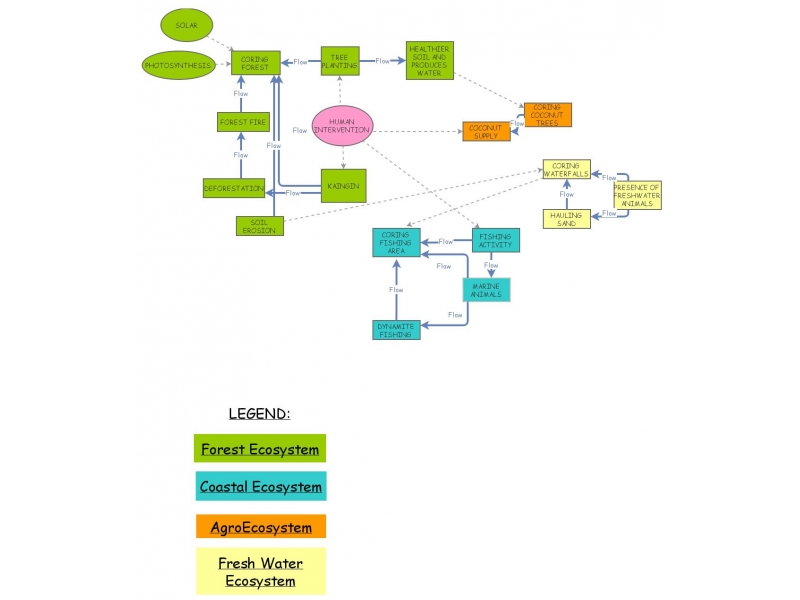 SYSTEM and THINKING MODEL OF CORING FOREST | Insight Maker