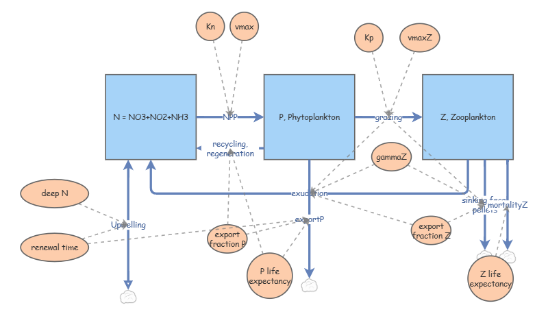 Clone of Marine NPZ model template | Insight Maker