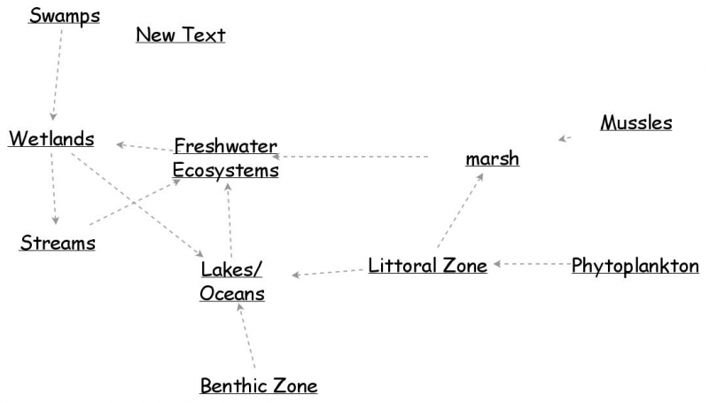 Freshwater Ecosystem Insight Maker