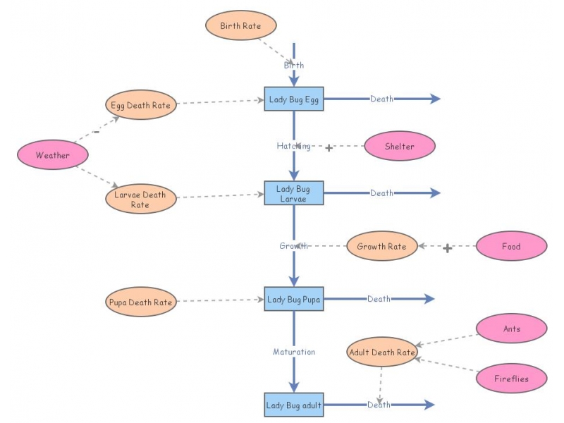 Lady Bug Coding Lady bug | Insight Maker