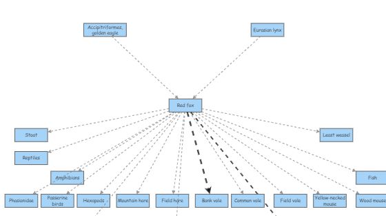 Red fox food web boreal forest | Insight Maker