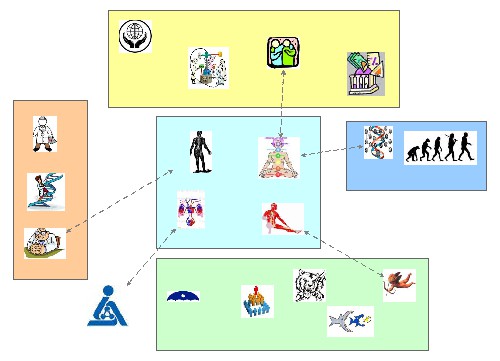 Biological Theory Map | Insight Maker