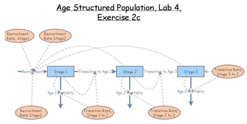 Lab 4, Exercise 2c | Insight Maker