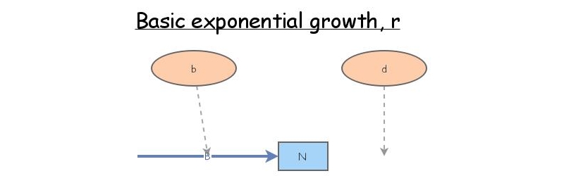 Basic Exp Growth, r | Insight Maker