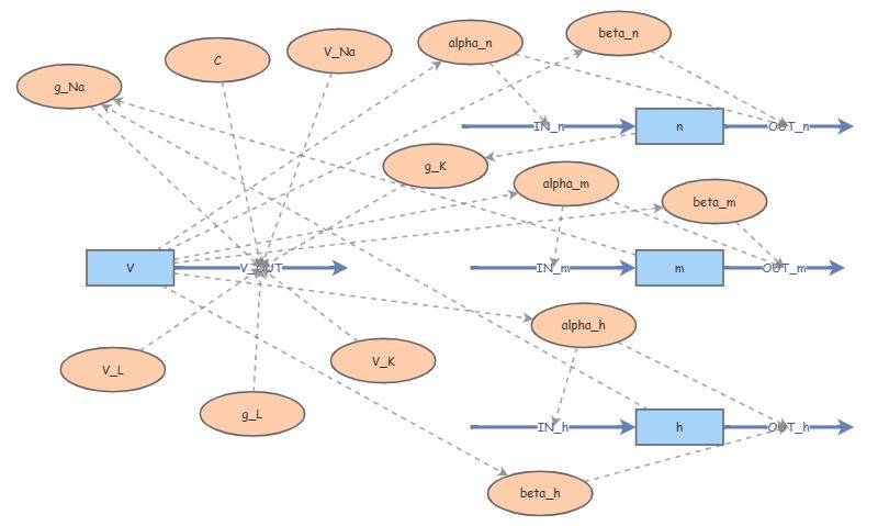 hodgkin huxley model Insight Maker