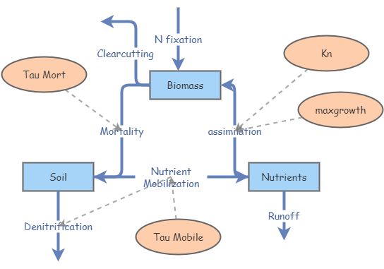 Quiz 4 Nitrogen Cycle | Insight Maker