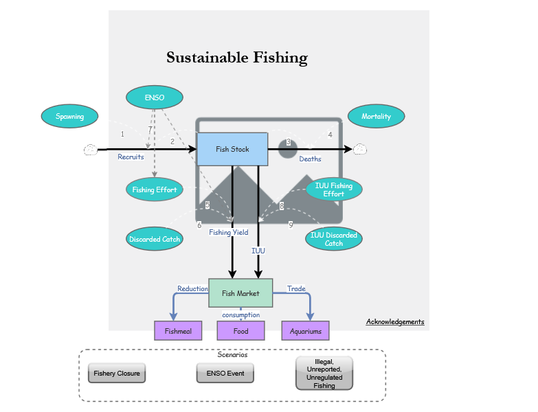 Clone of Clone of Stage 4 - Sustainable Fishing Model | Insight Maker