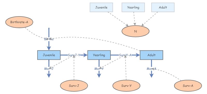 Age structure model | Insight Maker