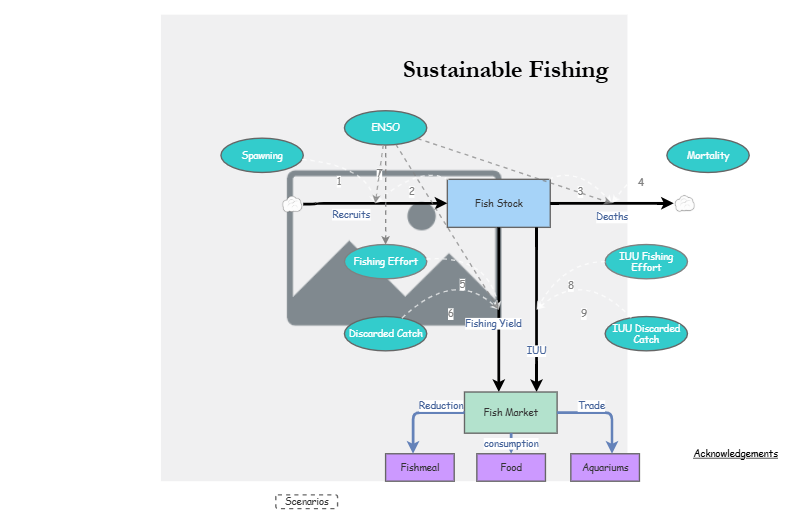 Clone of Clone of Stage 4 - Sustainable Fishing Model | Insight Maker