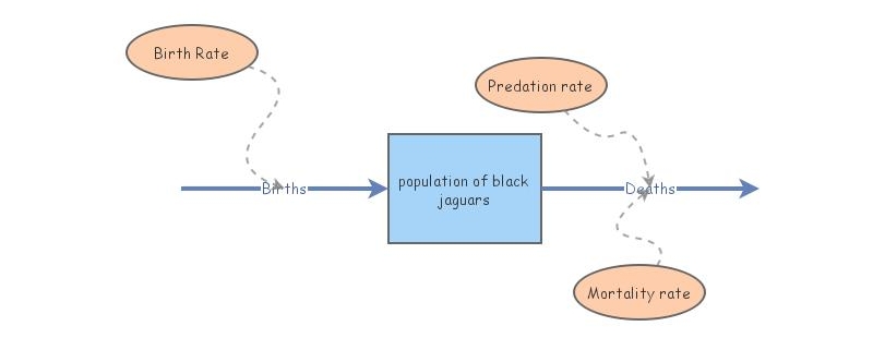Population model | Insight Maker