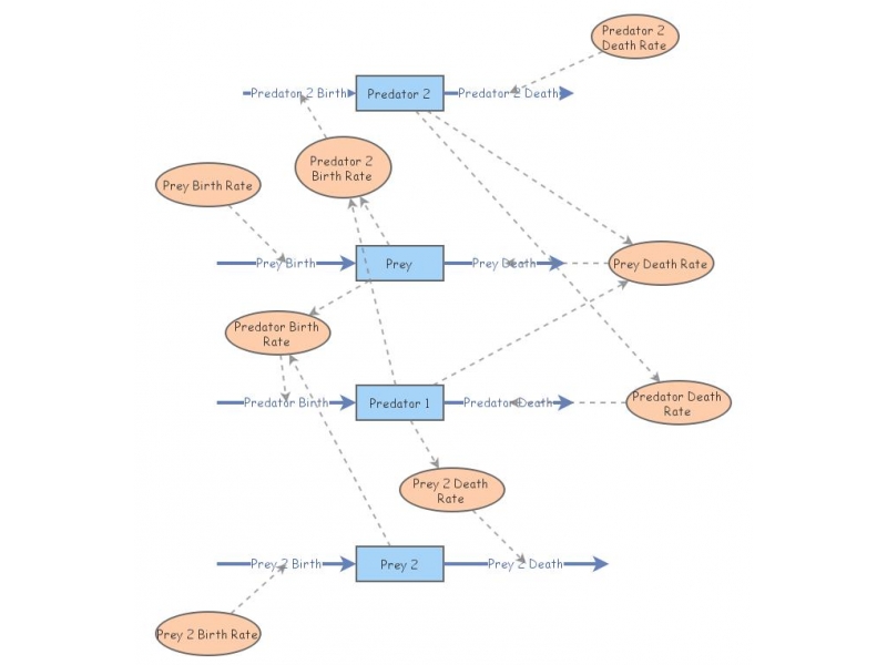 prey predator model | Insight Maker