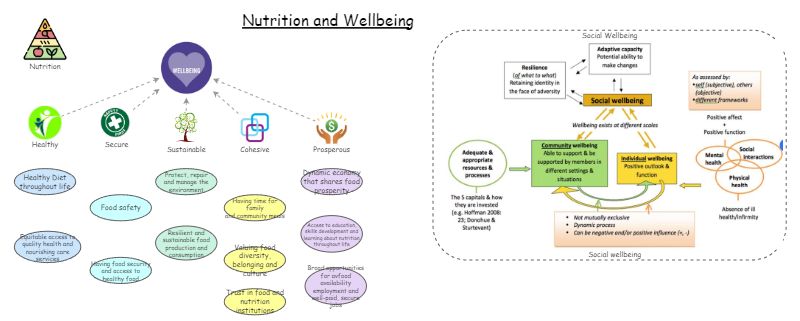 Nutrition and Wellbeing | Insight Maker