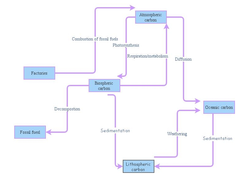 Carbon cycle stock flow diagram | Insight Maker