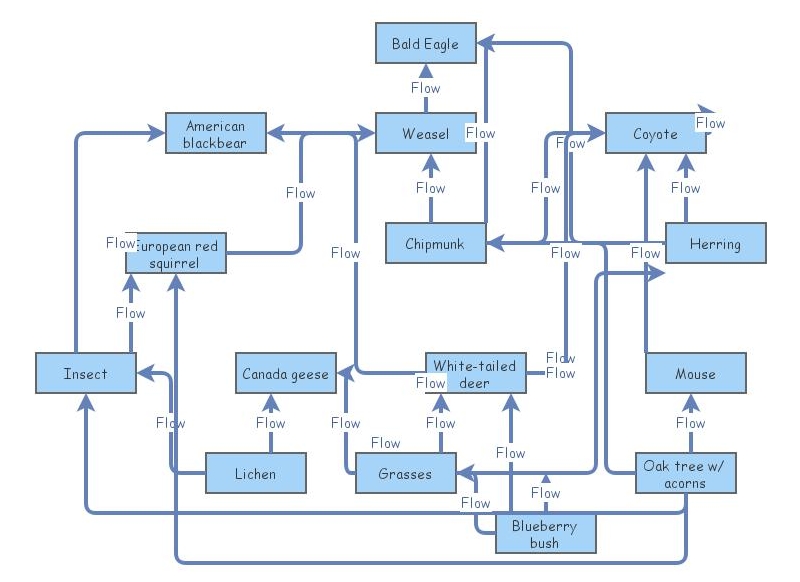 Insight Maker Biology Diagrams