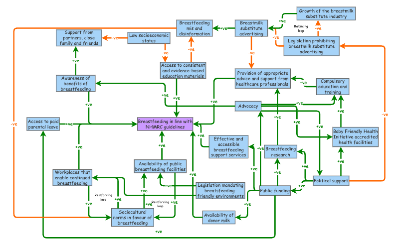 Clone of Breastfeeding System Mapping | Insight Maker