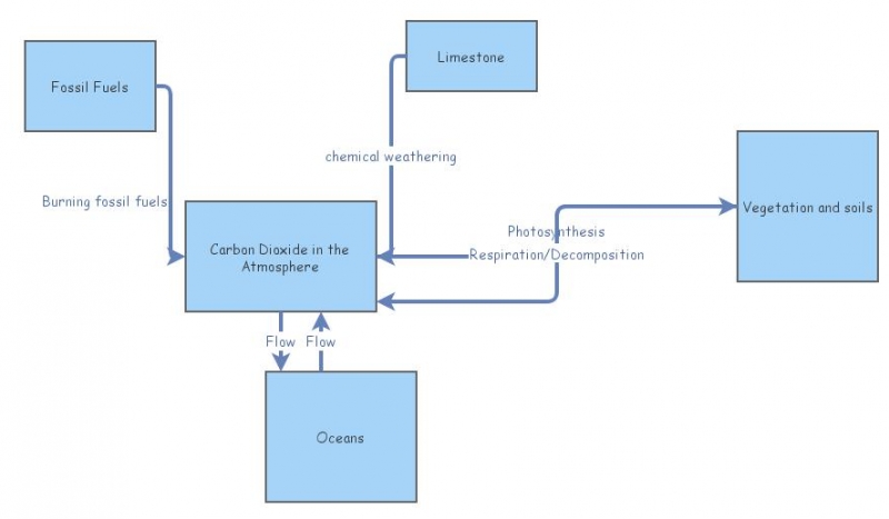 3d model of carbon cycle