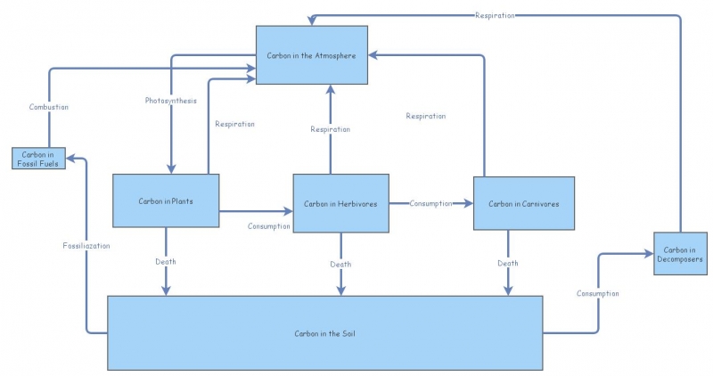 CARBON STOCK FLOW | Insight Maker