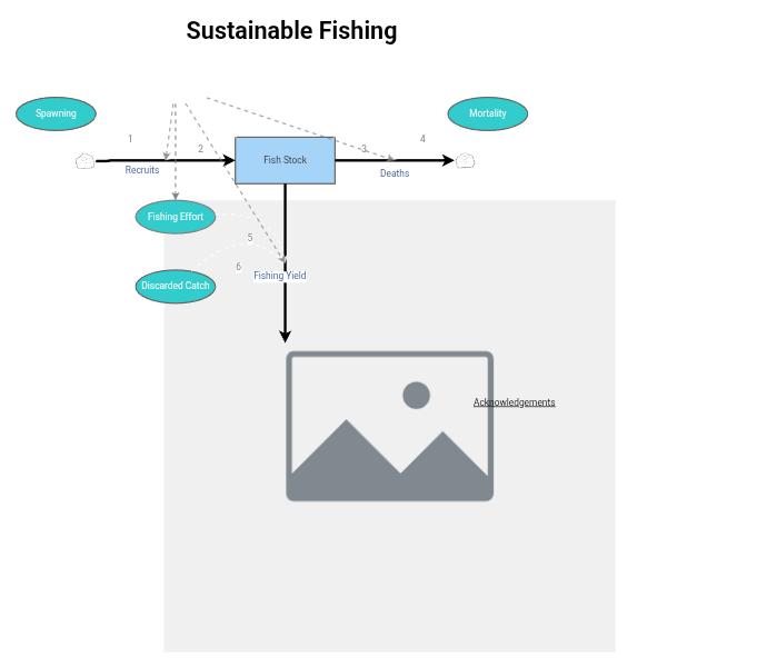 Clone of Clone of Stage 4 - Sustainable Fishing Model | Insight Maker