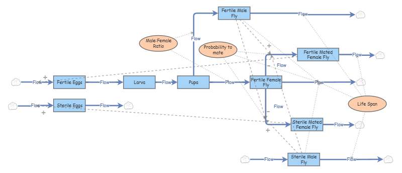Screwworm Systems Dynamics Model - v0.2 | Insight Maker