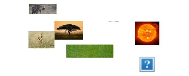 Food Chain for a Giraffe A Savanna Ecosystems Delicate Balance Unveiled.
