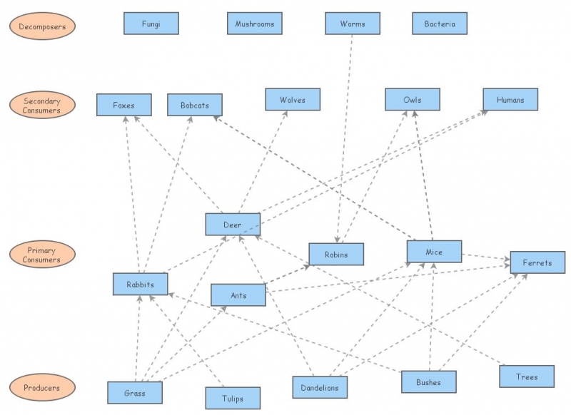 Food Web | Insight Maker