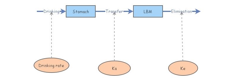 Drinking model exercise set 3 | Insight Maker