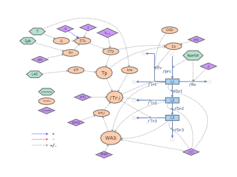 Clone of Clone of Soil-Water Model | Insight Maker