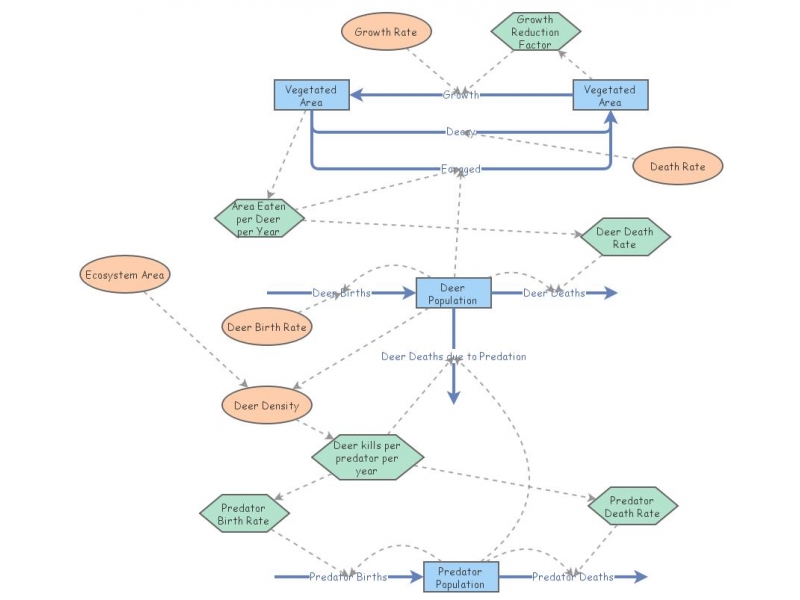 Predator Prey Forage Model | Insight Maker