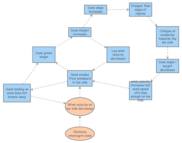 Dune Formation/Migration feedback loops | Insight Maker