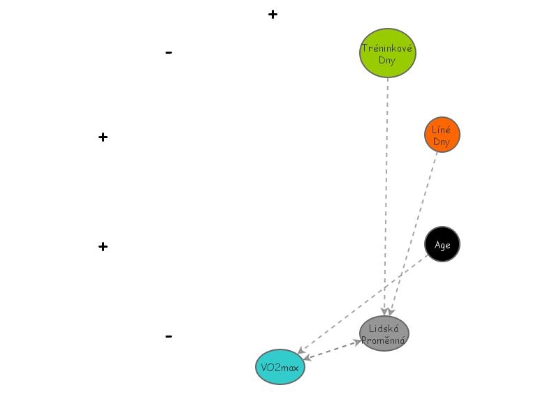 CFO model | Insight Maker
