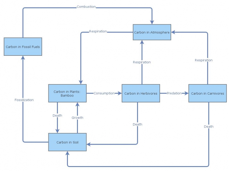 Clone of Carbon cycle | Insight Maker