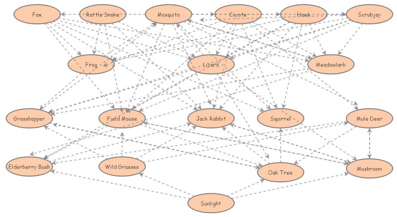 food web assignment insight maker