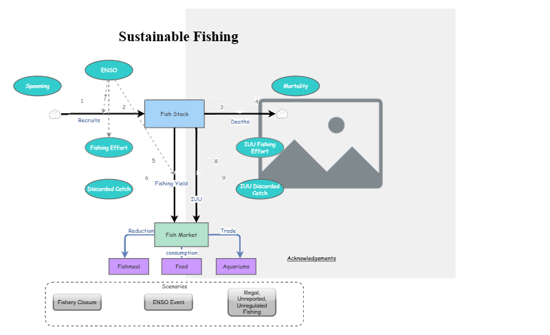 Clone of Clone of Stage 4 - Sustainable Fishing Model | Insight Maker