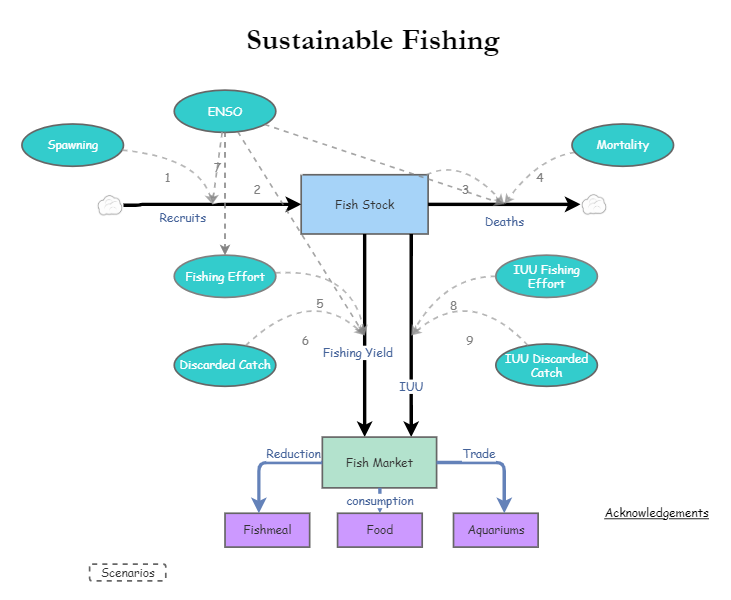 Clone of Clone of Stage 4 - Sustainable Fishing Model | Insight Maker