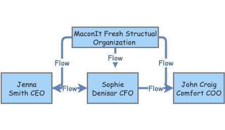 Structure of Organization | Insight Maker