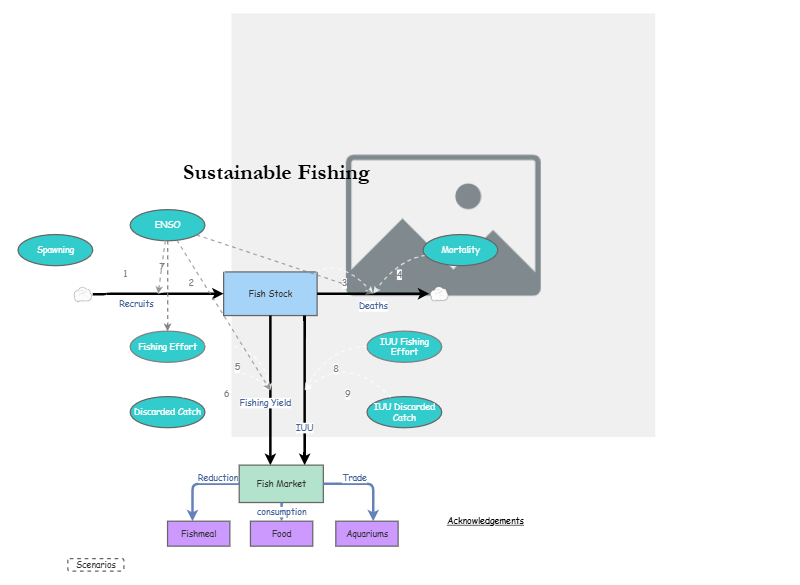 Clone of Clone of Stage 4 - Sustainable Fishing Model | Insight Maker