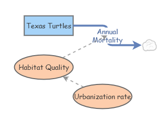 Turtle SImulation | Insight Maker
