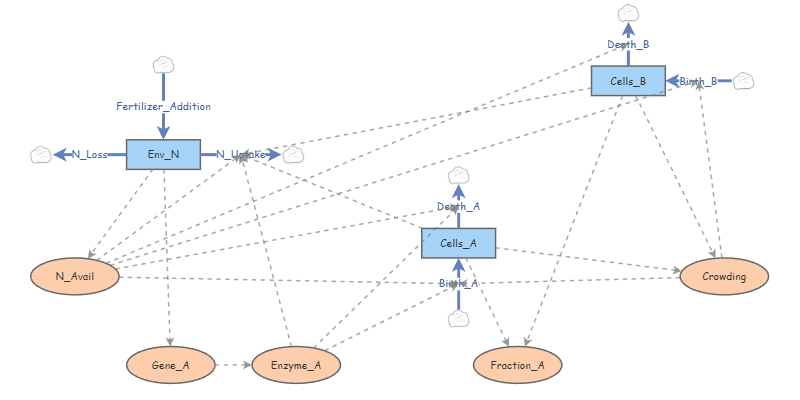 Model 5: Gene Regulation | Insight Maker